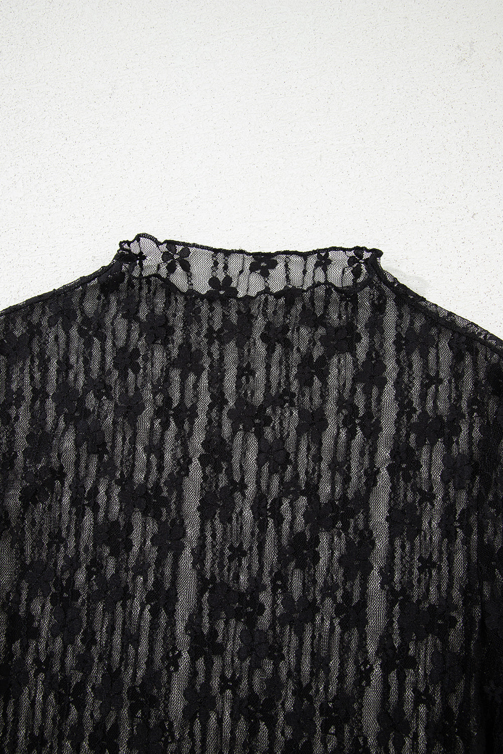 Ashleigh Blue Sheer Floral Lace Long Sleeve Slim Fit Top